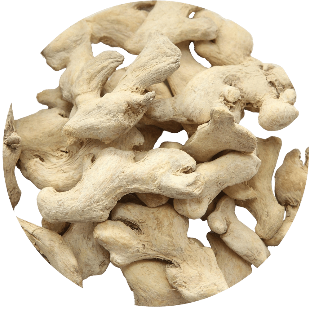 Dry Ginger Chinese Dried Ginger Wholesale Exporter 3486